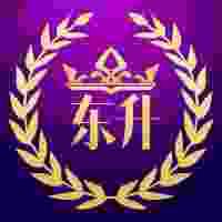东升国际